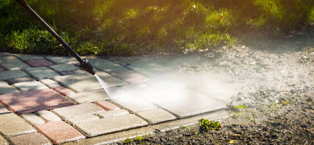 Best Boat and Dock Cleaning  in Terry, MS