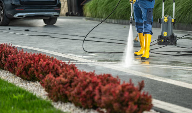 Best Driveway Pressure Washing  in Terry, MS